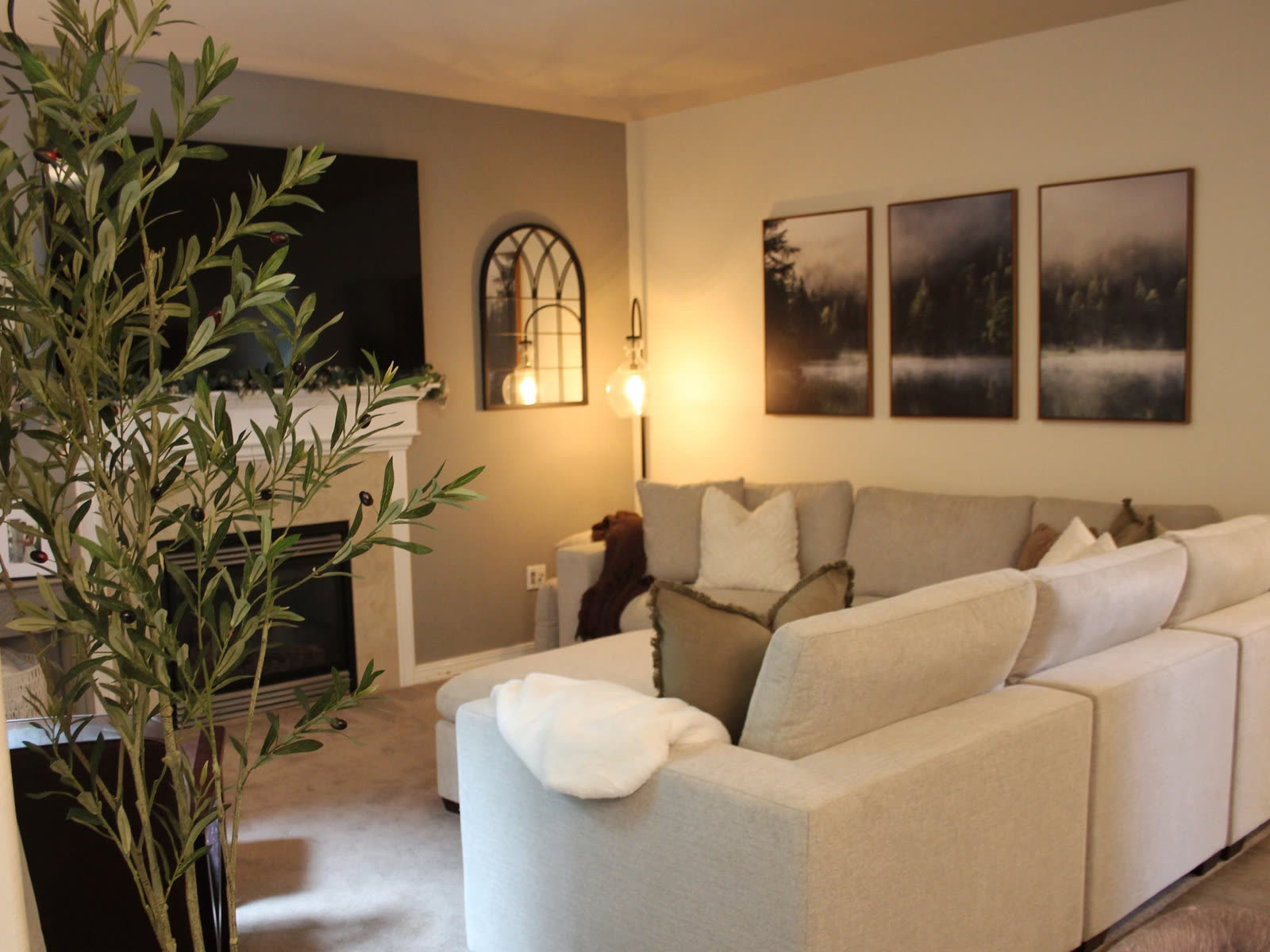 A warm, modern living room with cognac sofa, olive tree and arched windows.